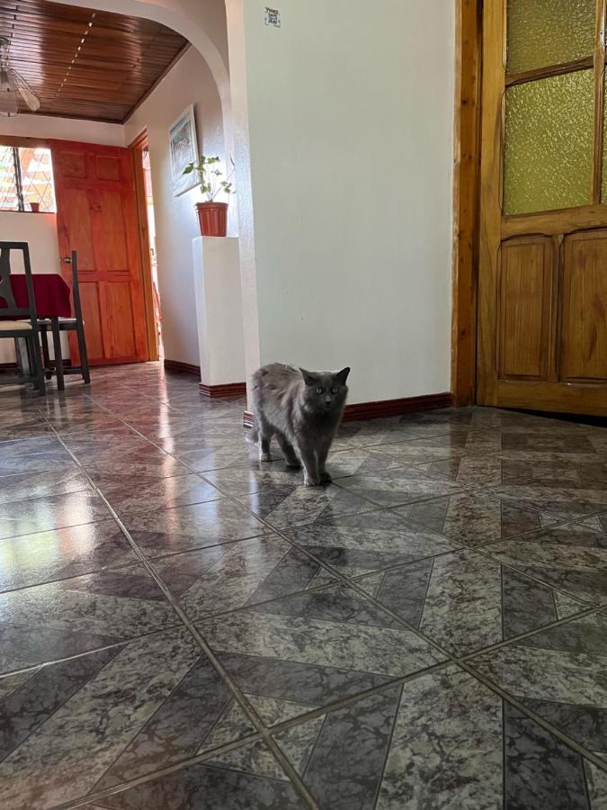 Appartamento El Mochilero Cartago Esterno foto
